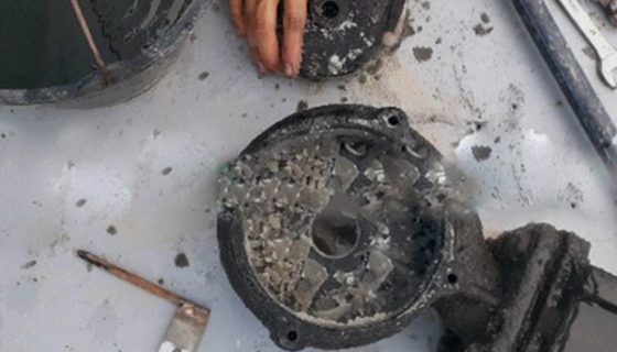 Nước thải chăn nuôi bị đóng muối