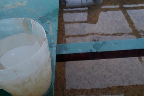 Nuôi cấy bùn vi sinh