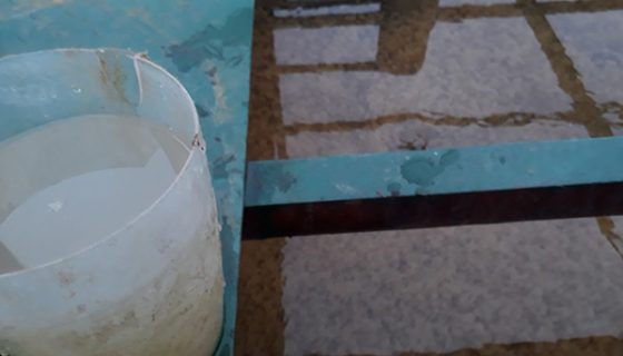 Nuôi cấy bùn vi sinh